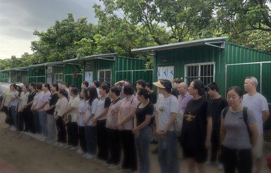 年度出游・劳逸结合
